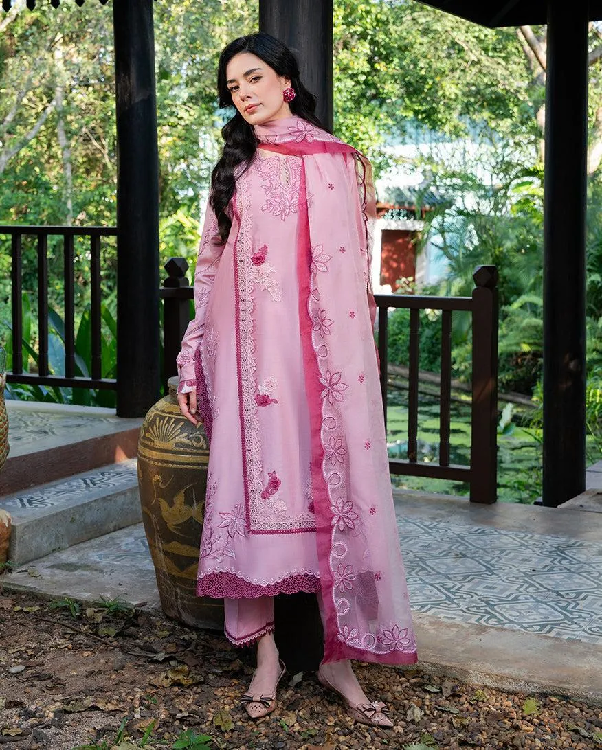 MUSHQ RTW