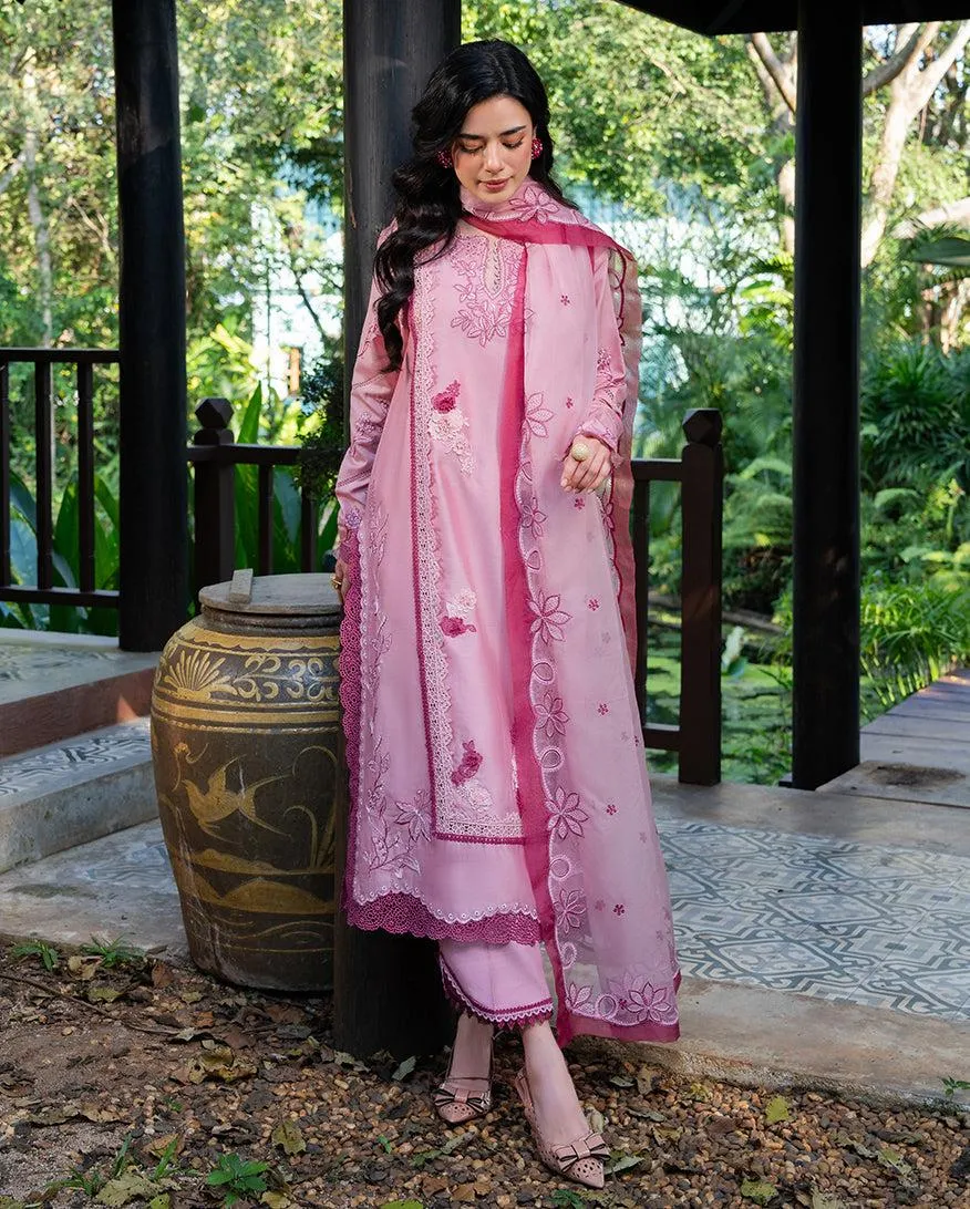 MUSHQ RTW
