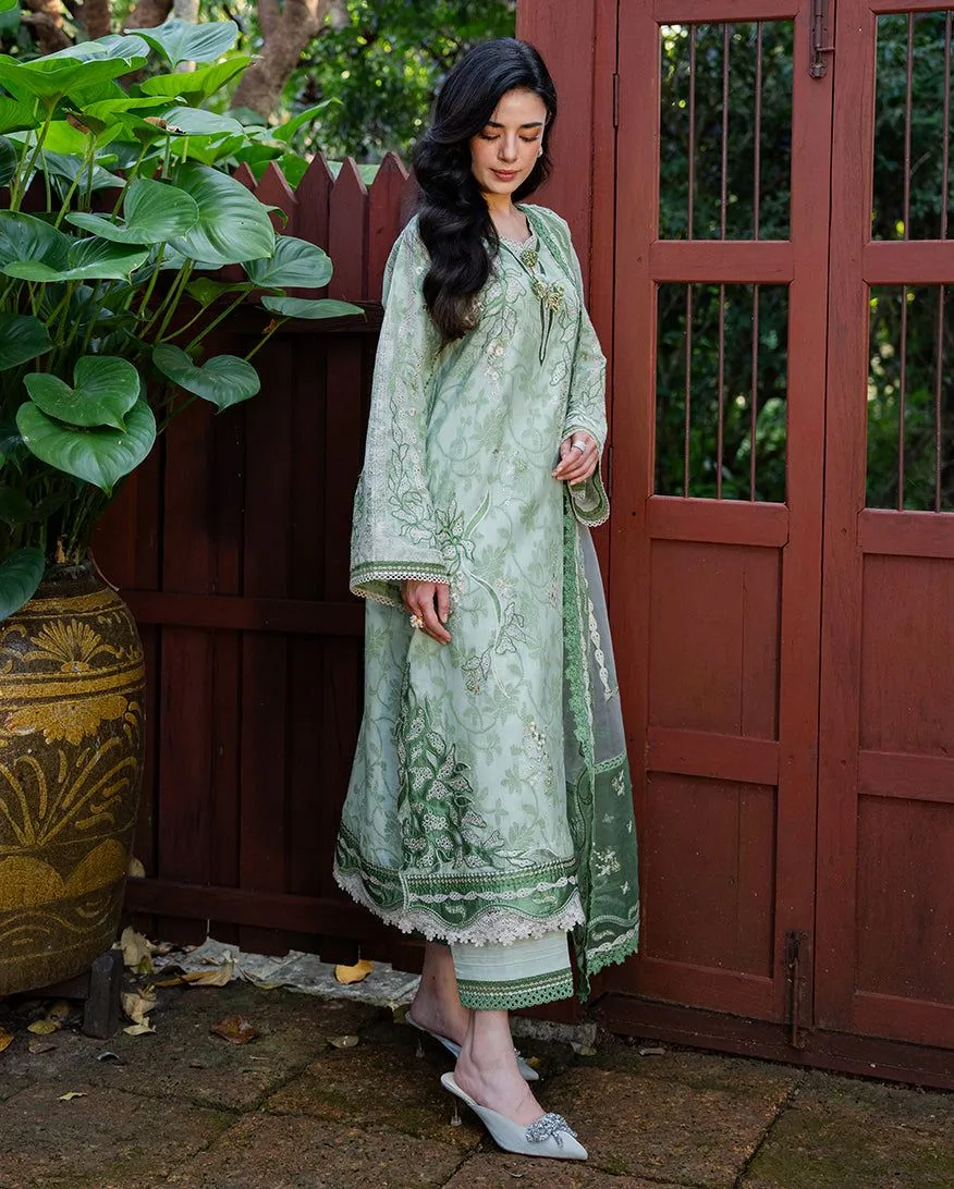 MUSHQ RTW