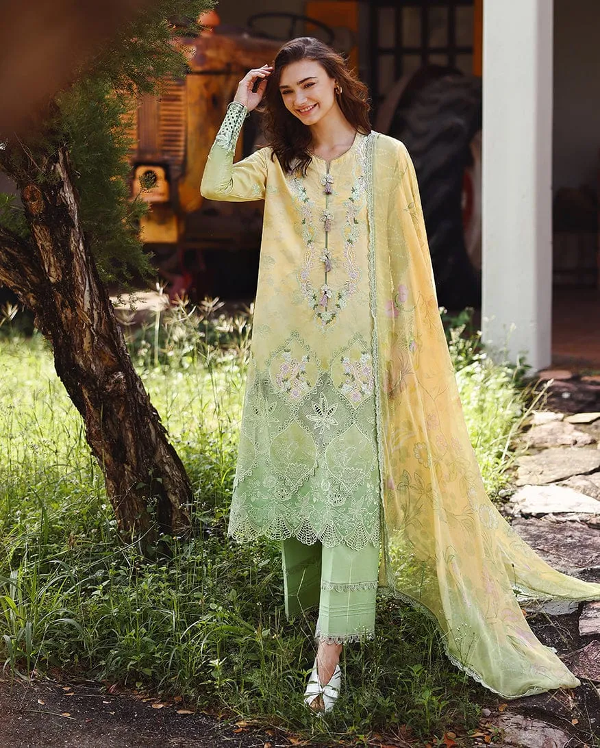MUSHQ Solace | Ombre Chikankari