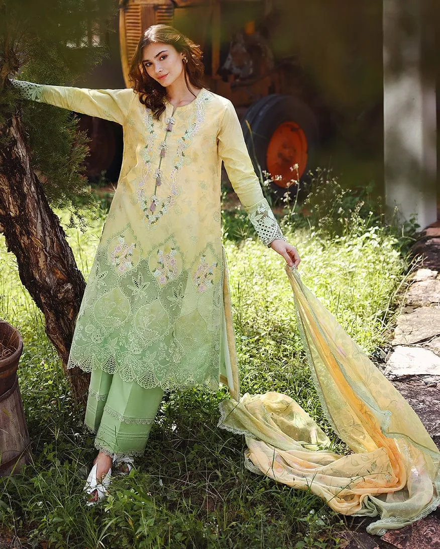 MUSHQ Solace | Ombre Chikankari