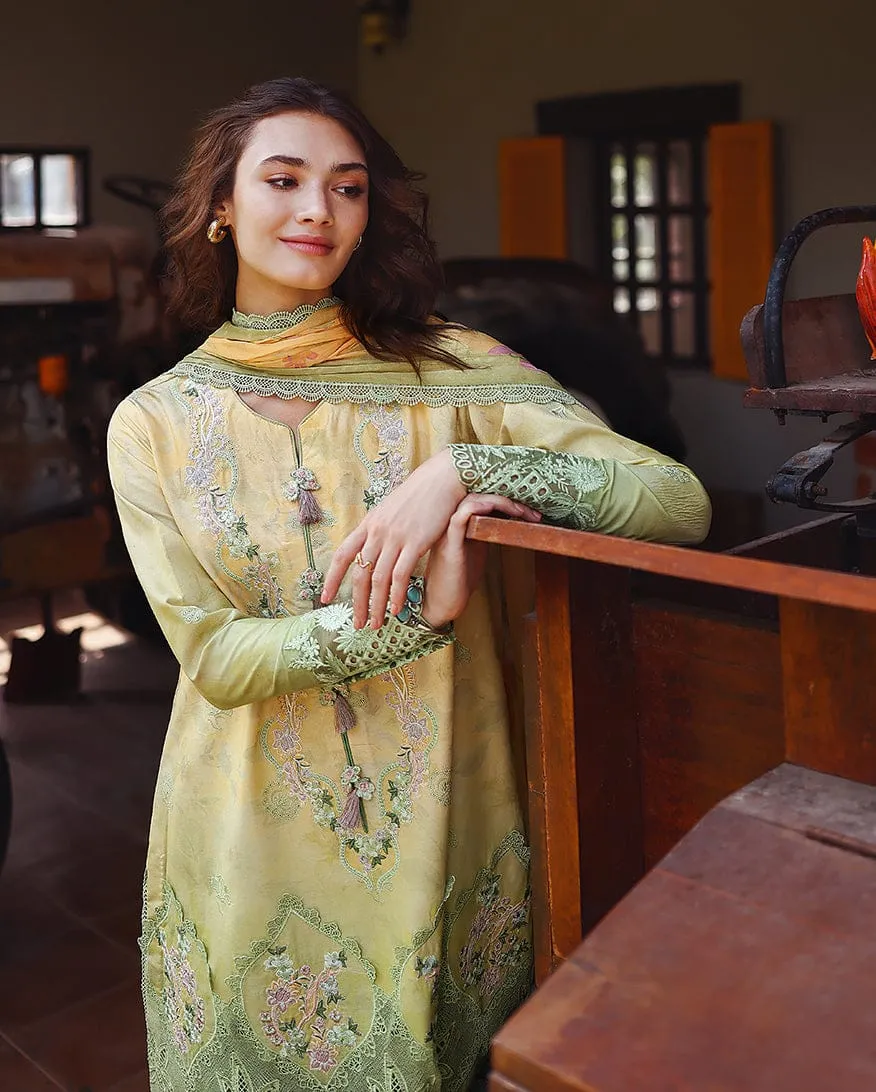 MUSHQ Solace | Ombre Chikankari
