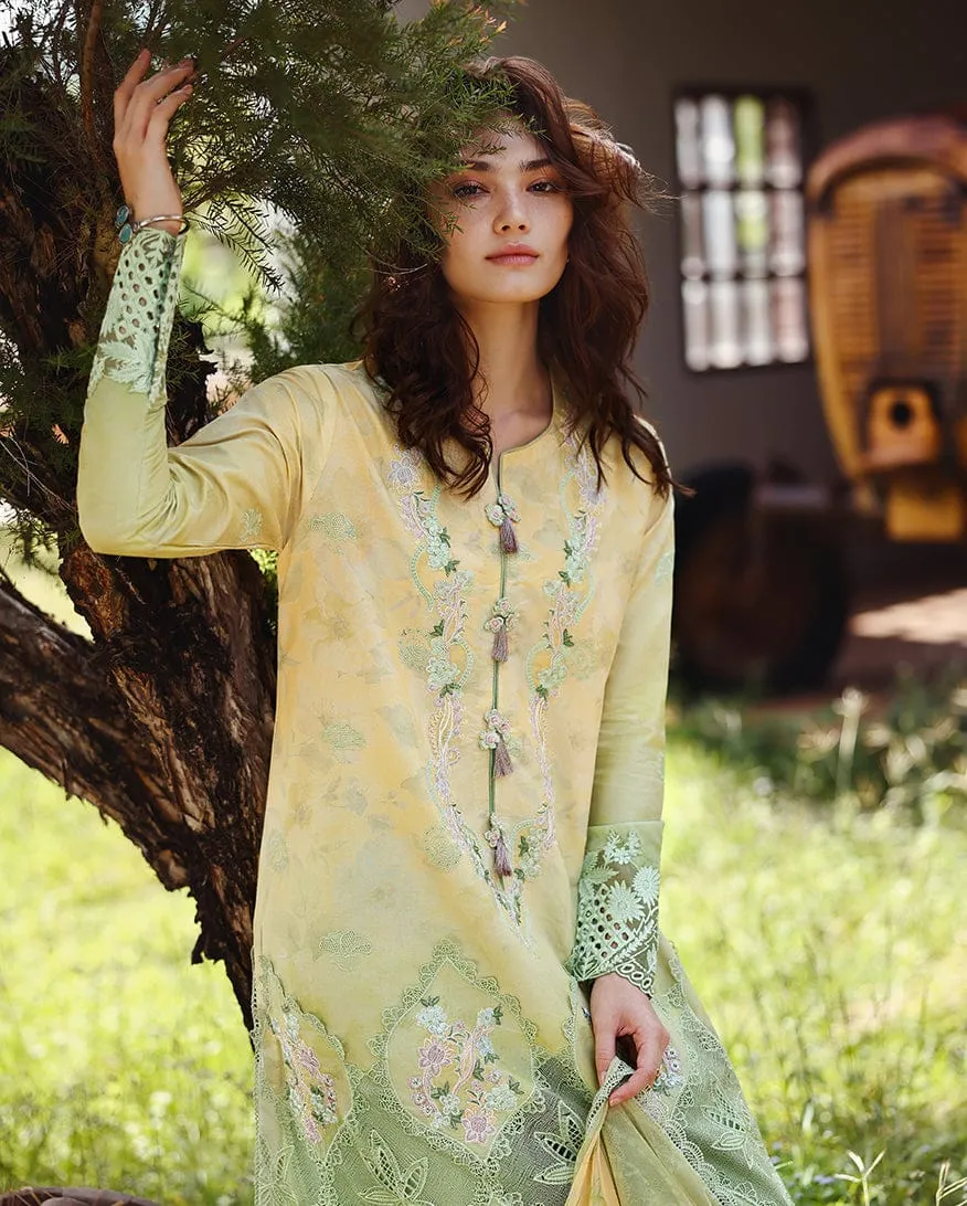 MUSHQ Solace | Ombre Chikankari