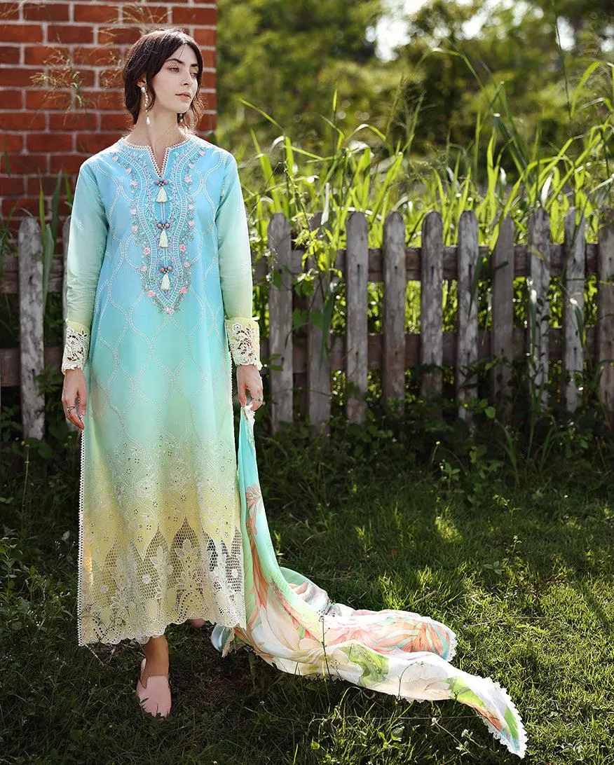 MUSHQ Solace | Ombre Chikankari