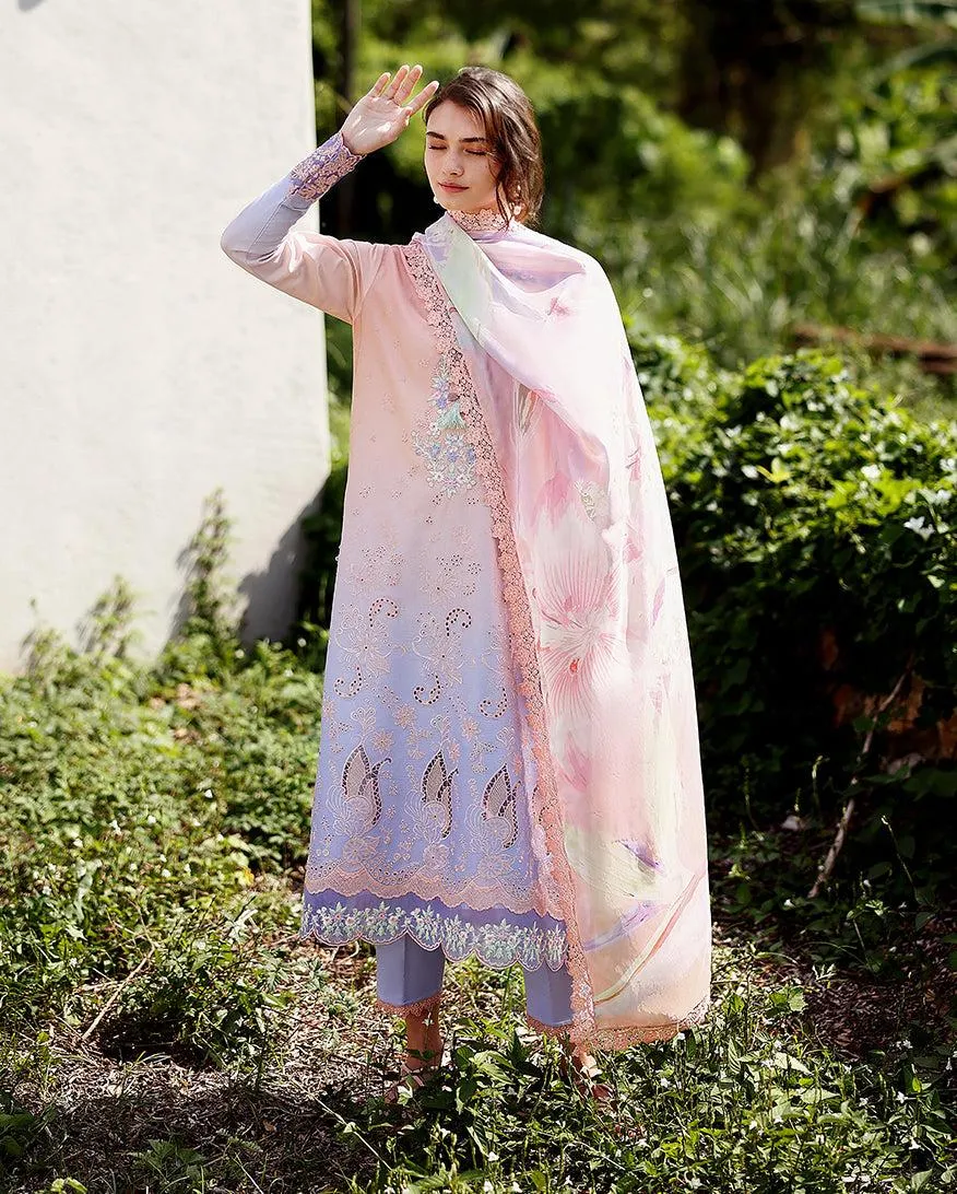 MUSHQ Solace | Ombre Chikankari