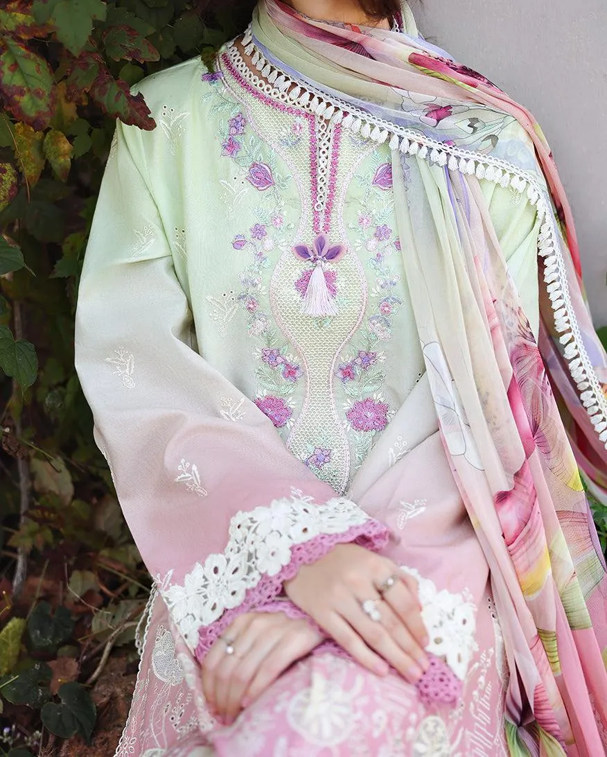 MUSHQ Solace | Ombre Chikankari