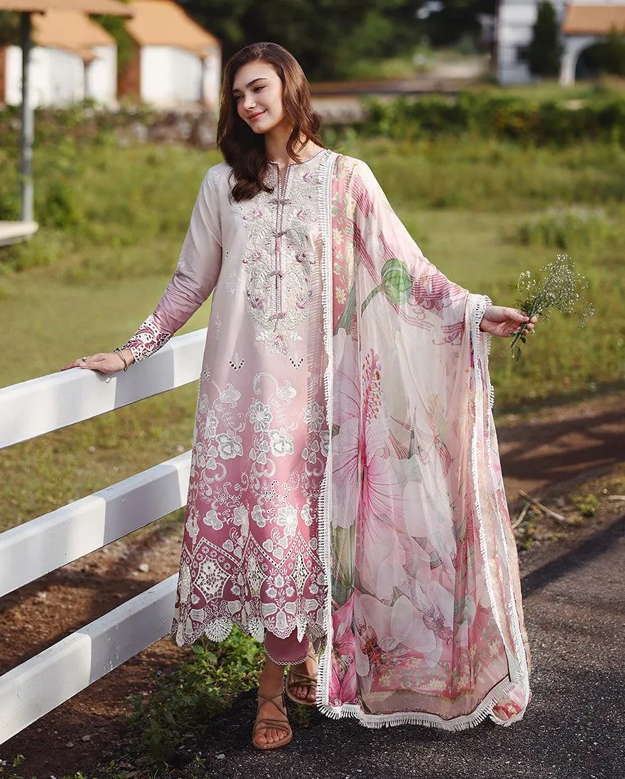 MUSHQ Solace | Ombre Chikankari