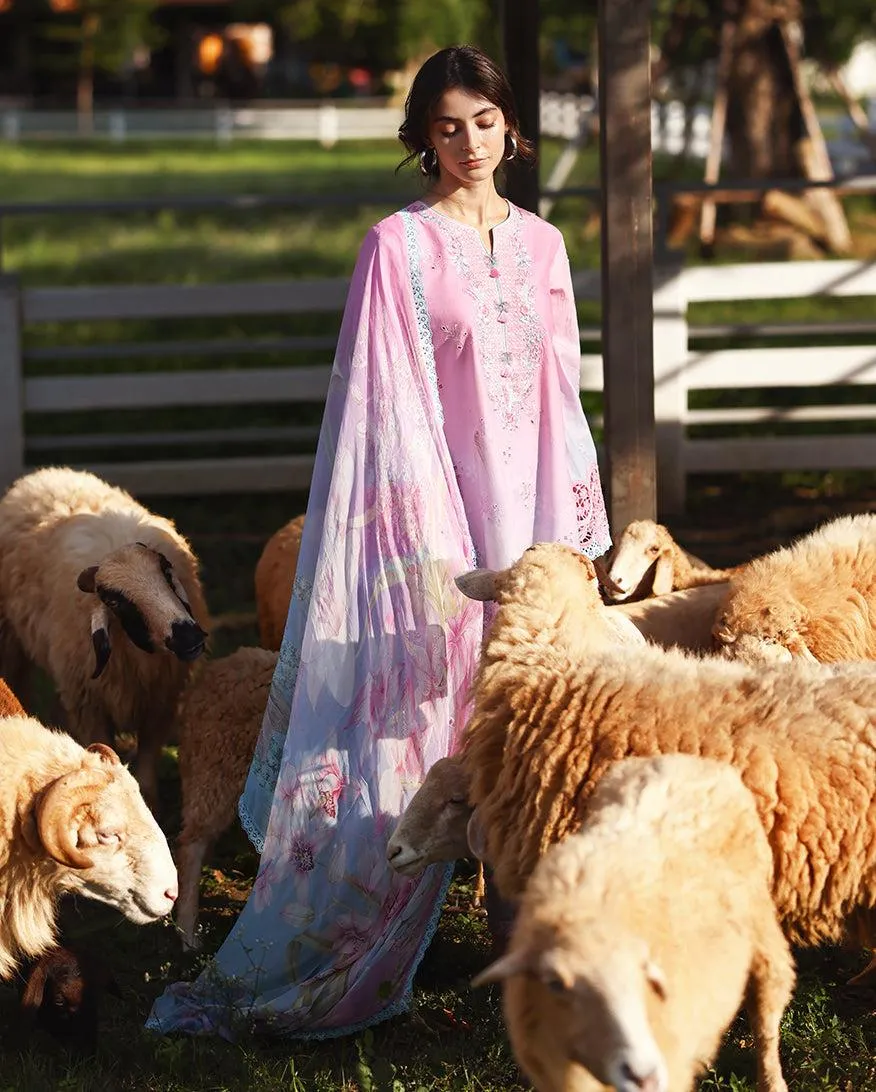 MUSHQ Solace | Ombre Chikankari