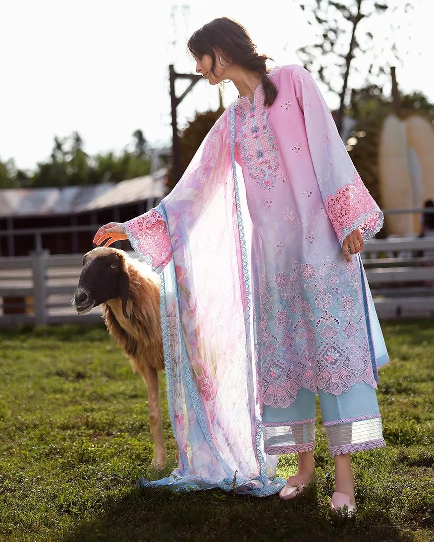 MUSHQ Solace | Ombre Chikankari