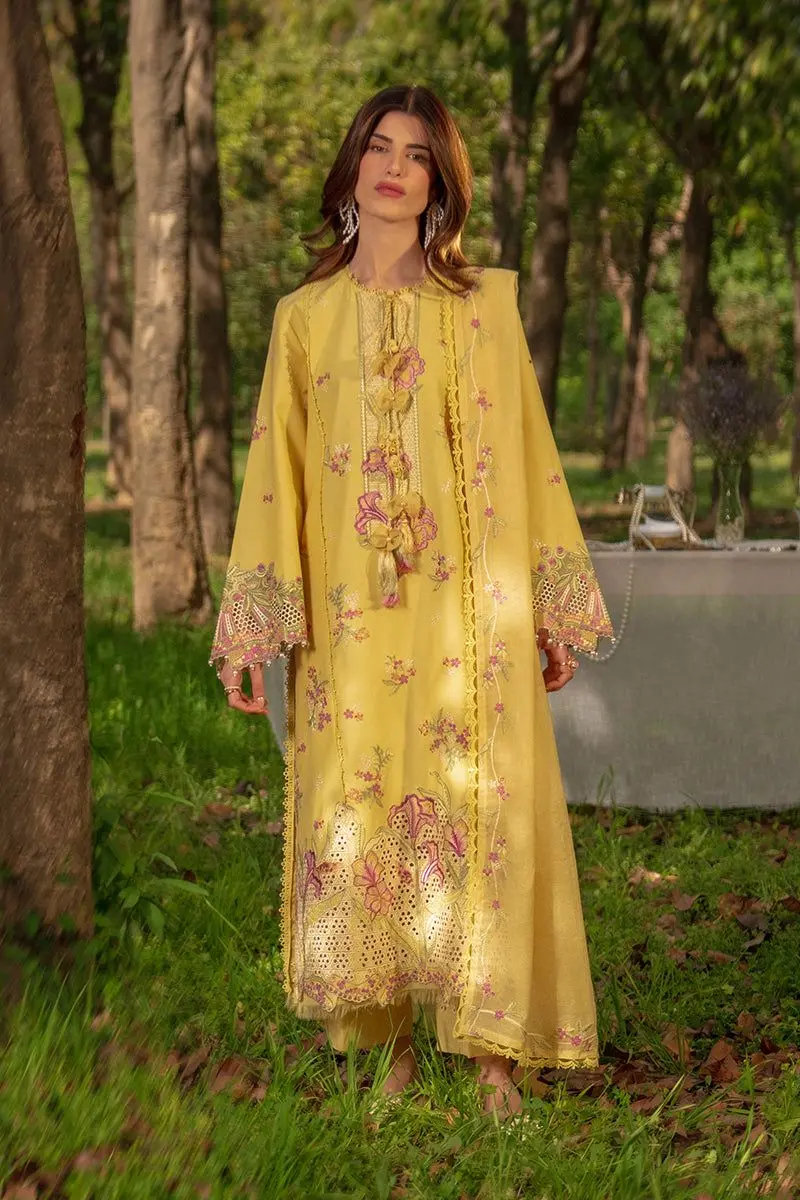 RANG RASIA EID LUXURY 26 UNSTITCHED 