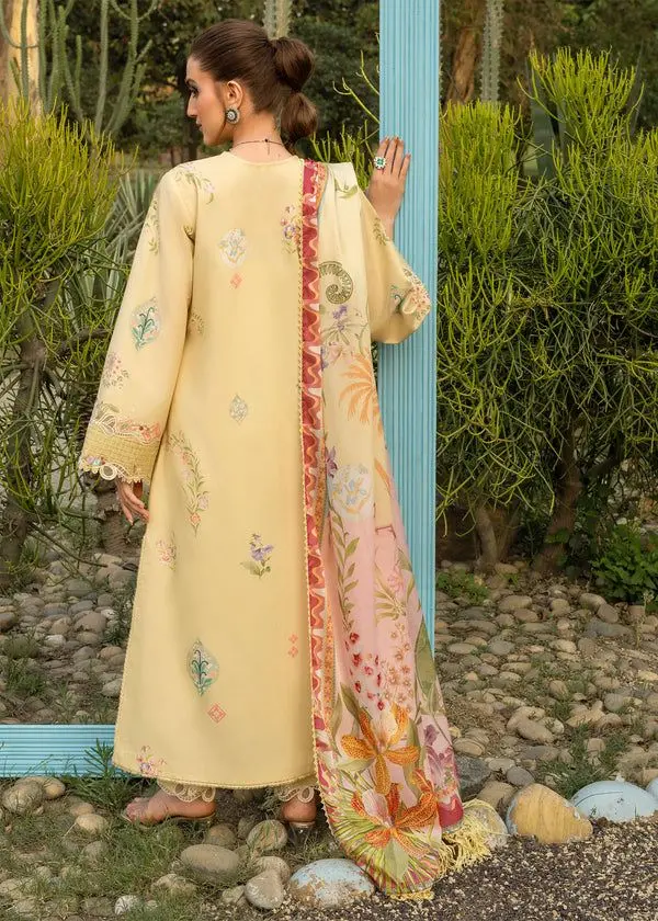 SAIRA SHAKIRA BLOOM