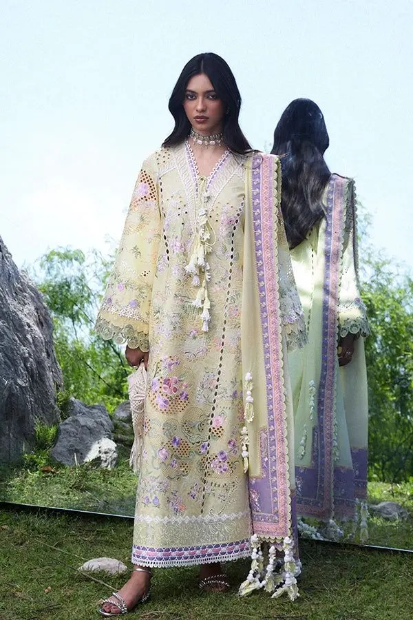 SUFFUSE LAWN