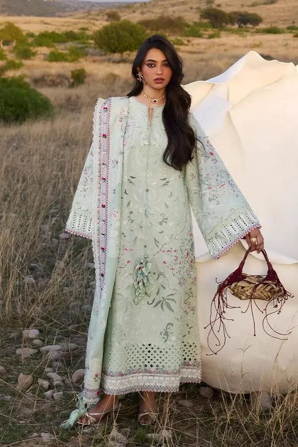 SUFFUSE LAWN